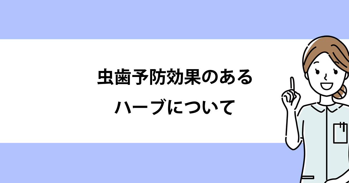 【新潟の歯医者・予防歯科】虫歯予防効果のあるハーブについて